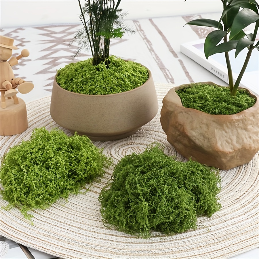 Sphagnum Moss Dry - 1pack Artificial Fake Moss, 1.05 OZ