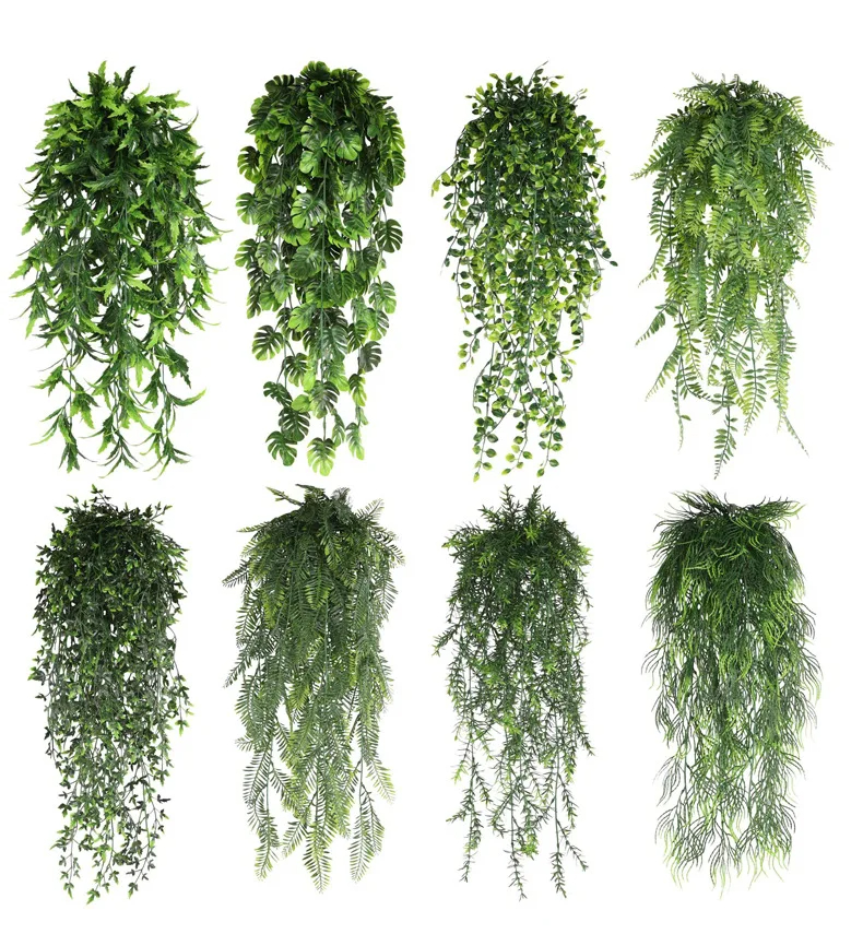 Sphagnum Moss Dry - Persian fern Leaves Vines Home Room
