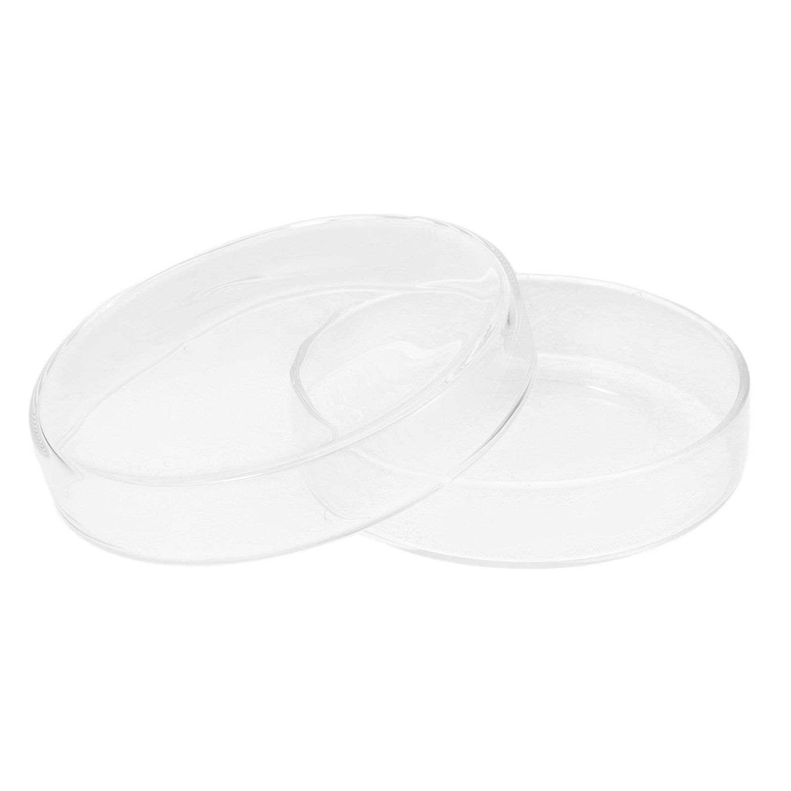 Agar Tissue Culture - High Borosilicate Glass Petri Dish Laboratory