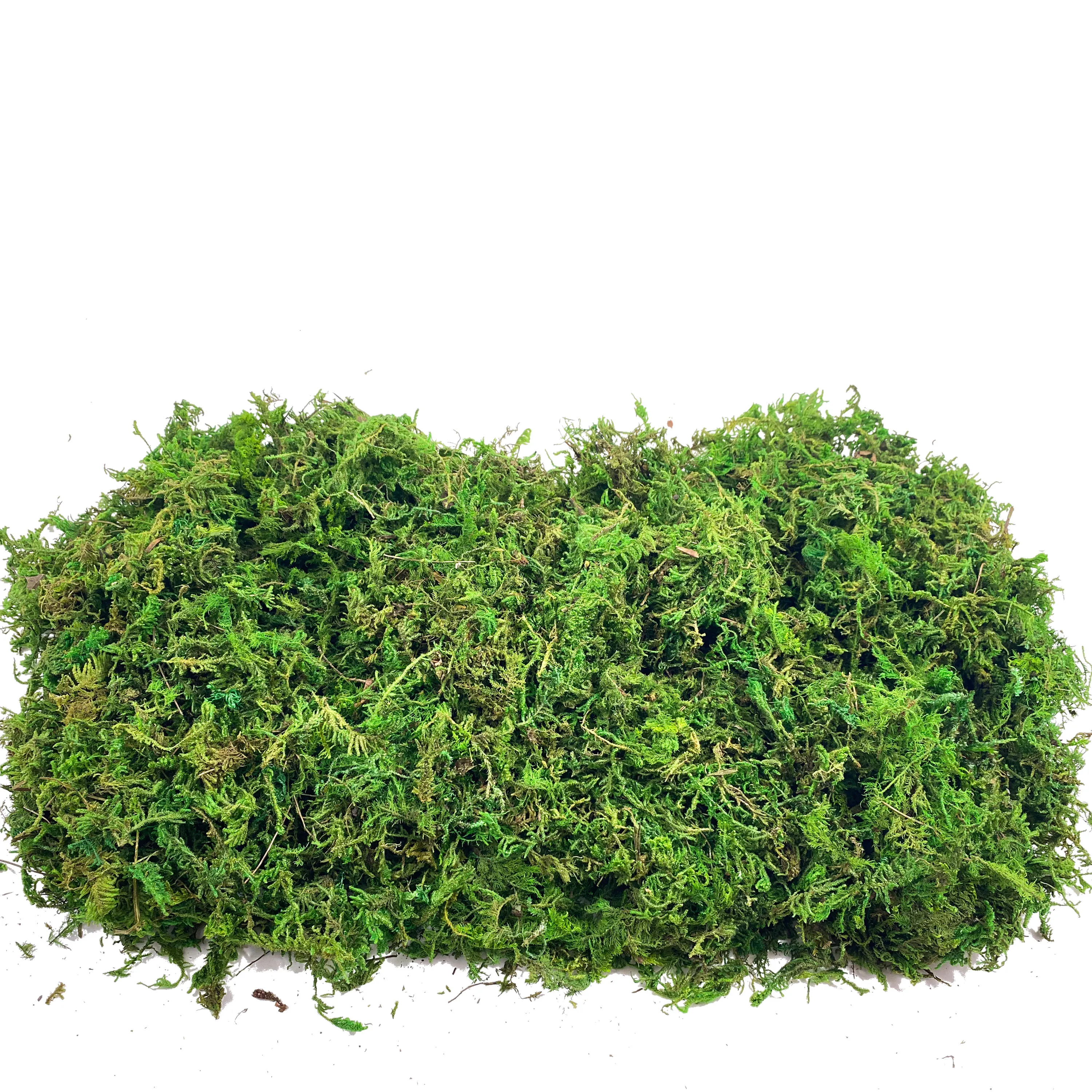 Fake Moss Artificial Moss for  - Sphagnum Moss Dry 评论和价格