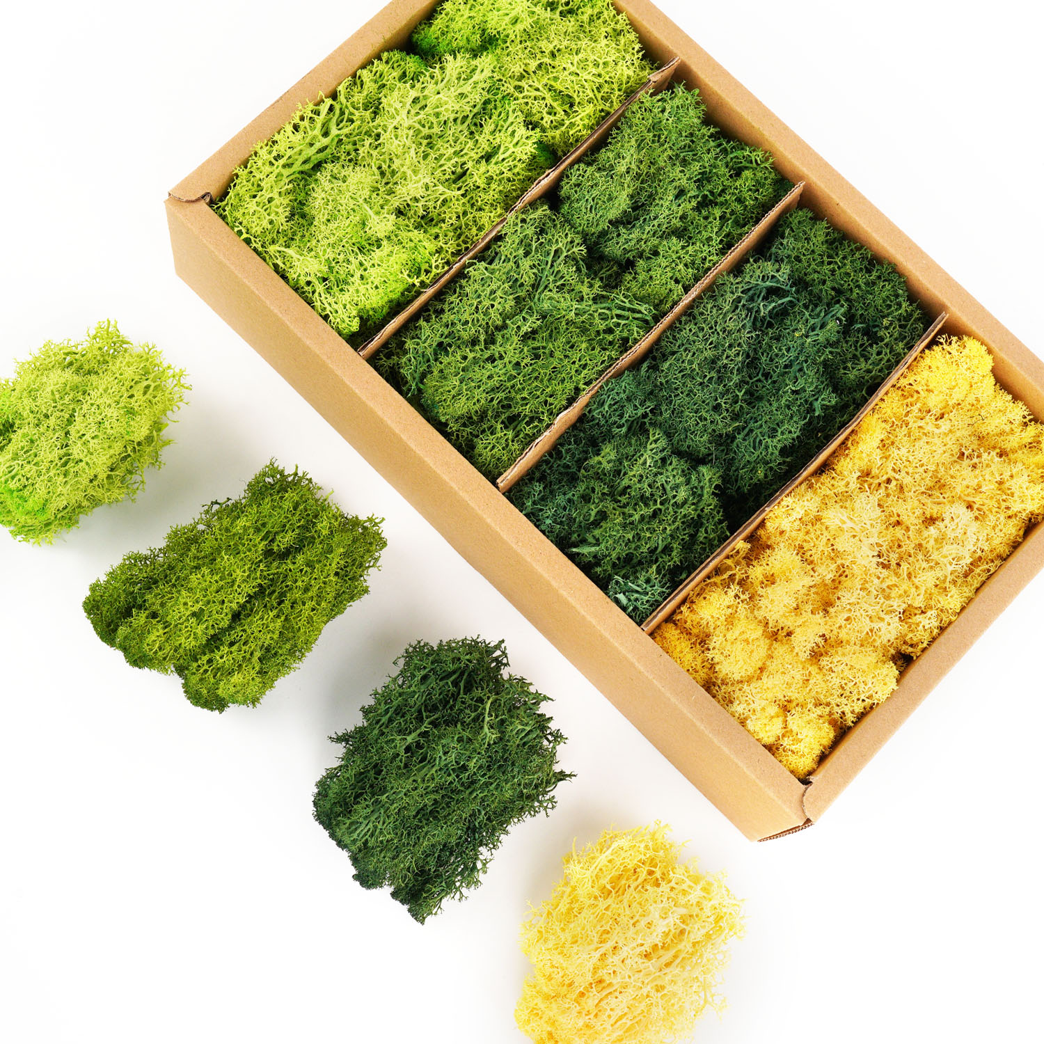 Artificial Green Plants Eterna - Sphagnum Moss Dry 评论和价格