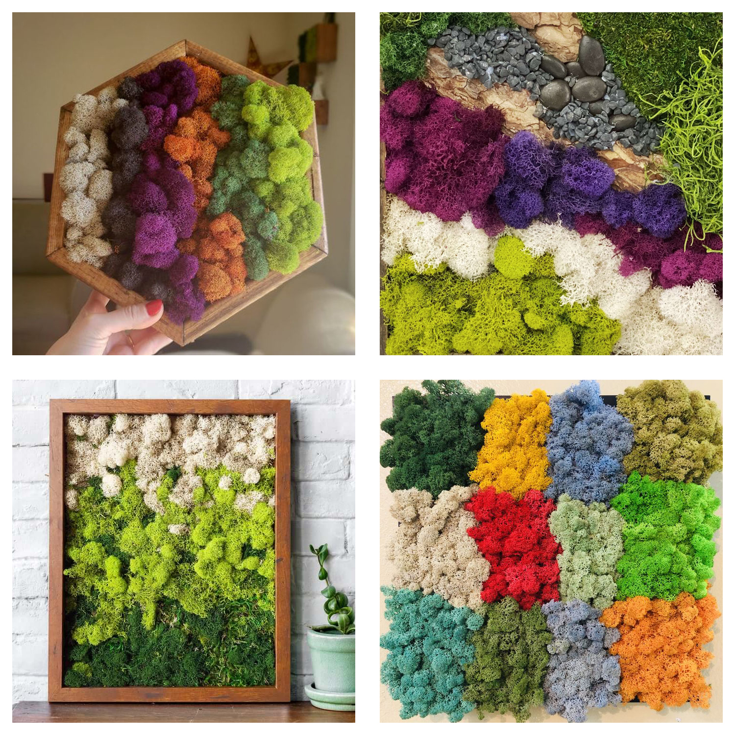 Artificial Green Plants Eterna - Sphagnum Moss Dry 评论和价格