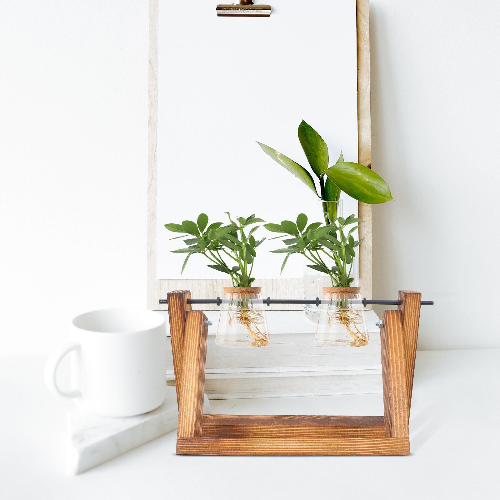 Hydroponic Propagating Jars Ho - Propagation Station Vase 评论和价格