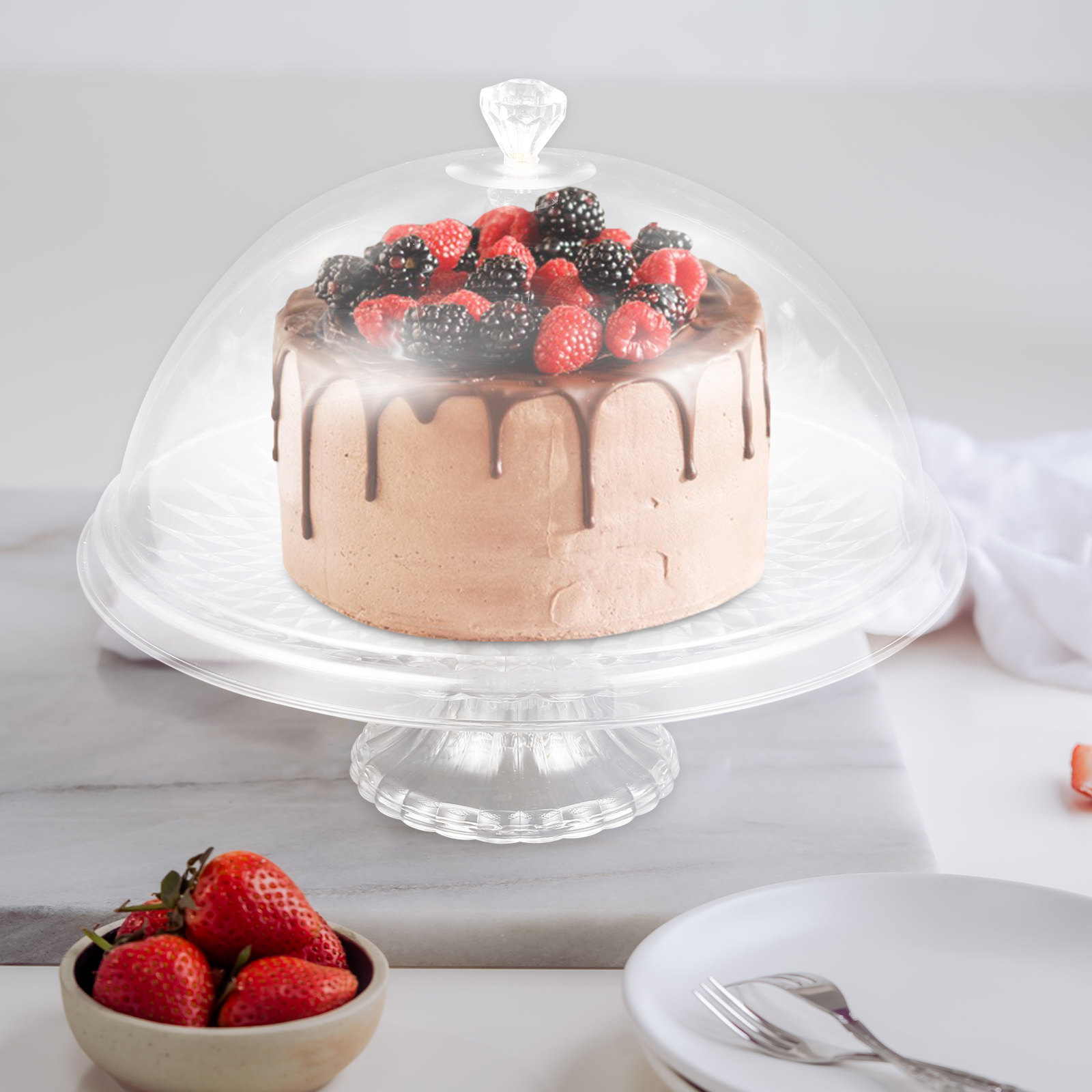 Clear Pet Cake Stand with Dome - Plastic Dome Clear 评论和价格