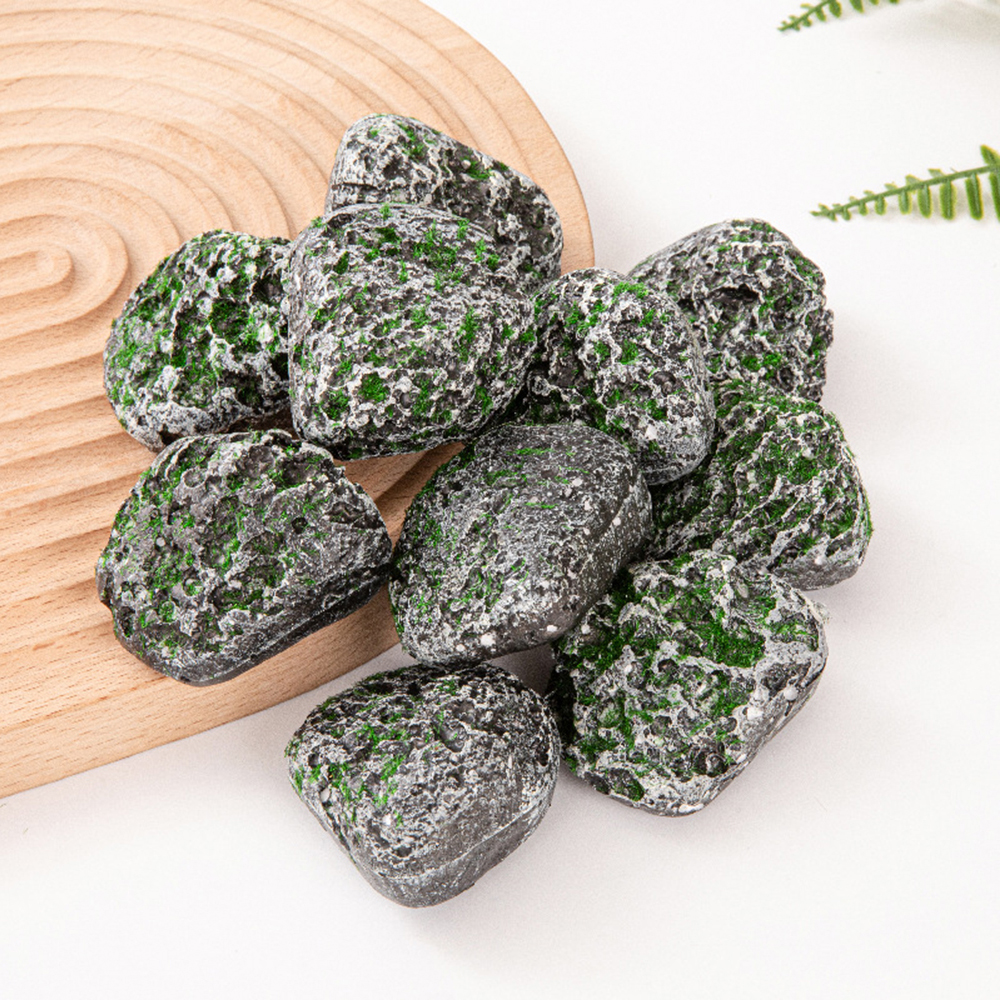 10PCS Mossy Gray Stone Multi-s - Sphagnum Moss Dry 评论和价格
