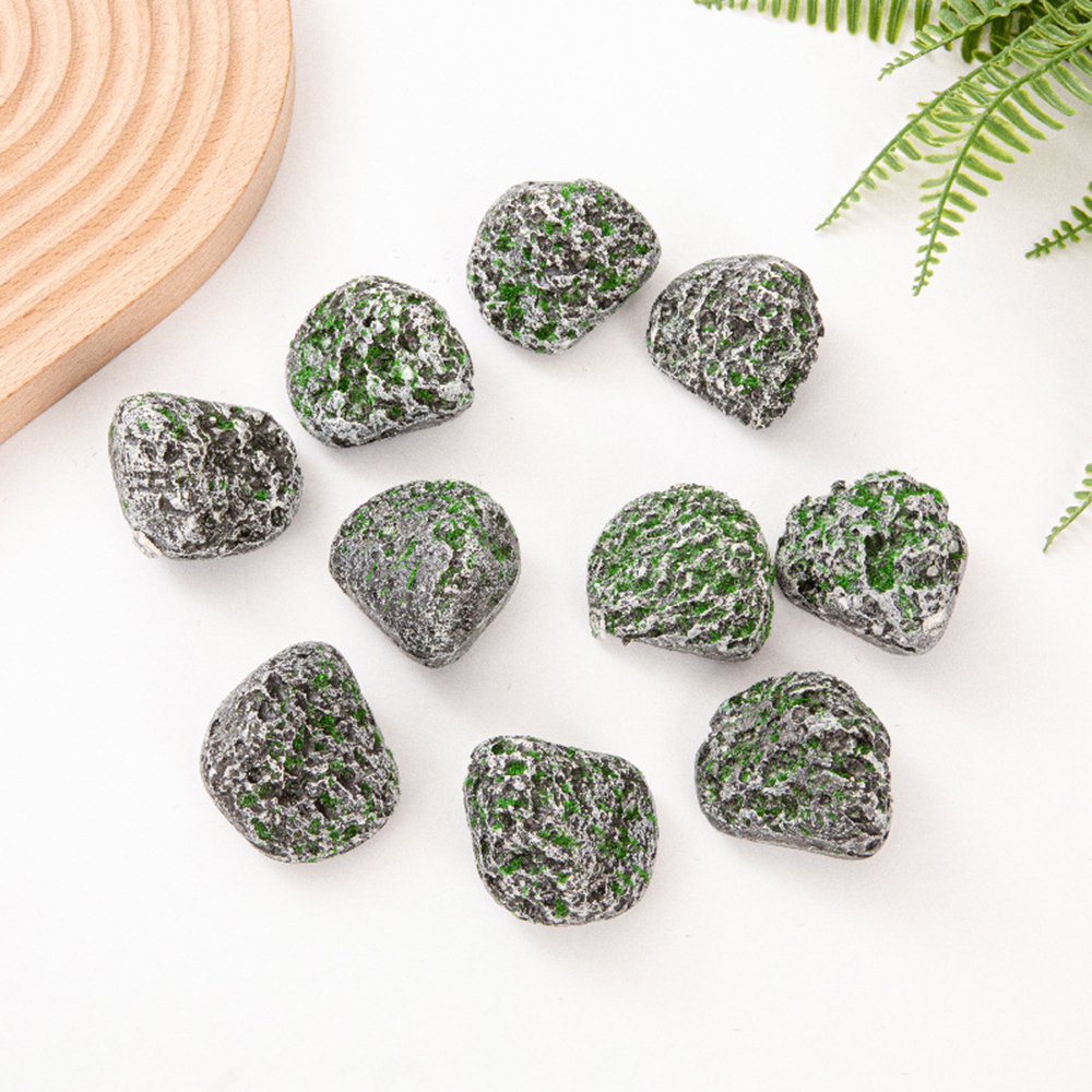 10PCS Mossy Gray Stone Multi-s - Sphagnum Moss Dry 评论和价格