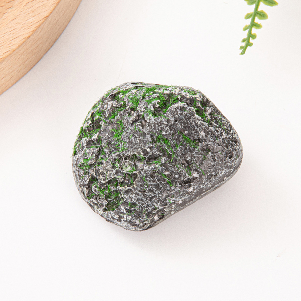 10PCS Mossy Gray Stone Multi-s - Sphagnum Moss Dry 评论和价格