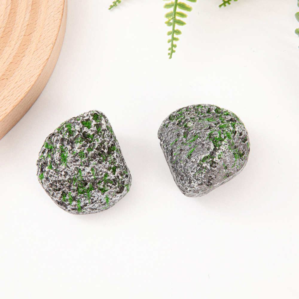 10PCS Mossy Gray Stone Multi-s - Sphagnum Moss Dry 评论和价格