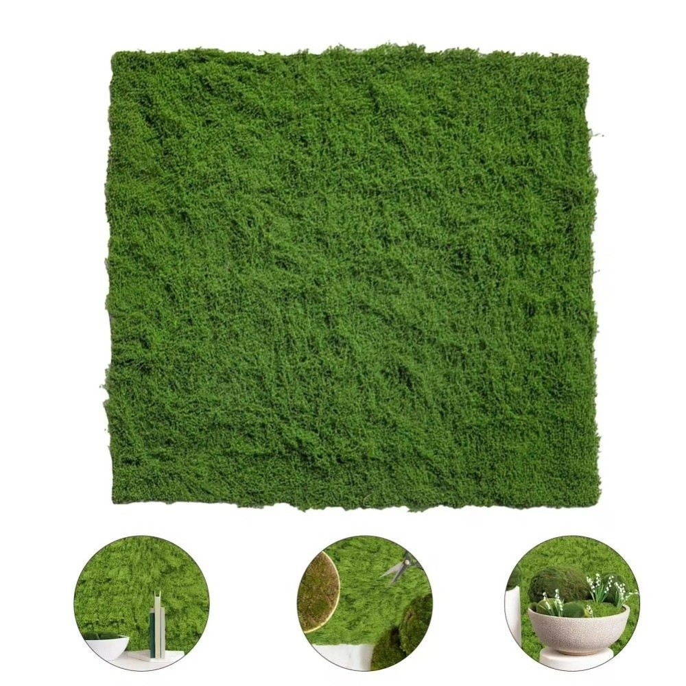DIY Artificial Grass Rug Lifel - Sphagnum Moss Dry 评论和价格