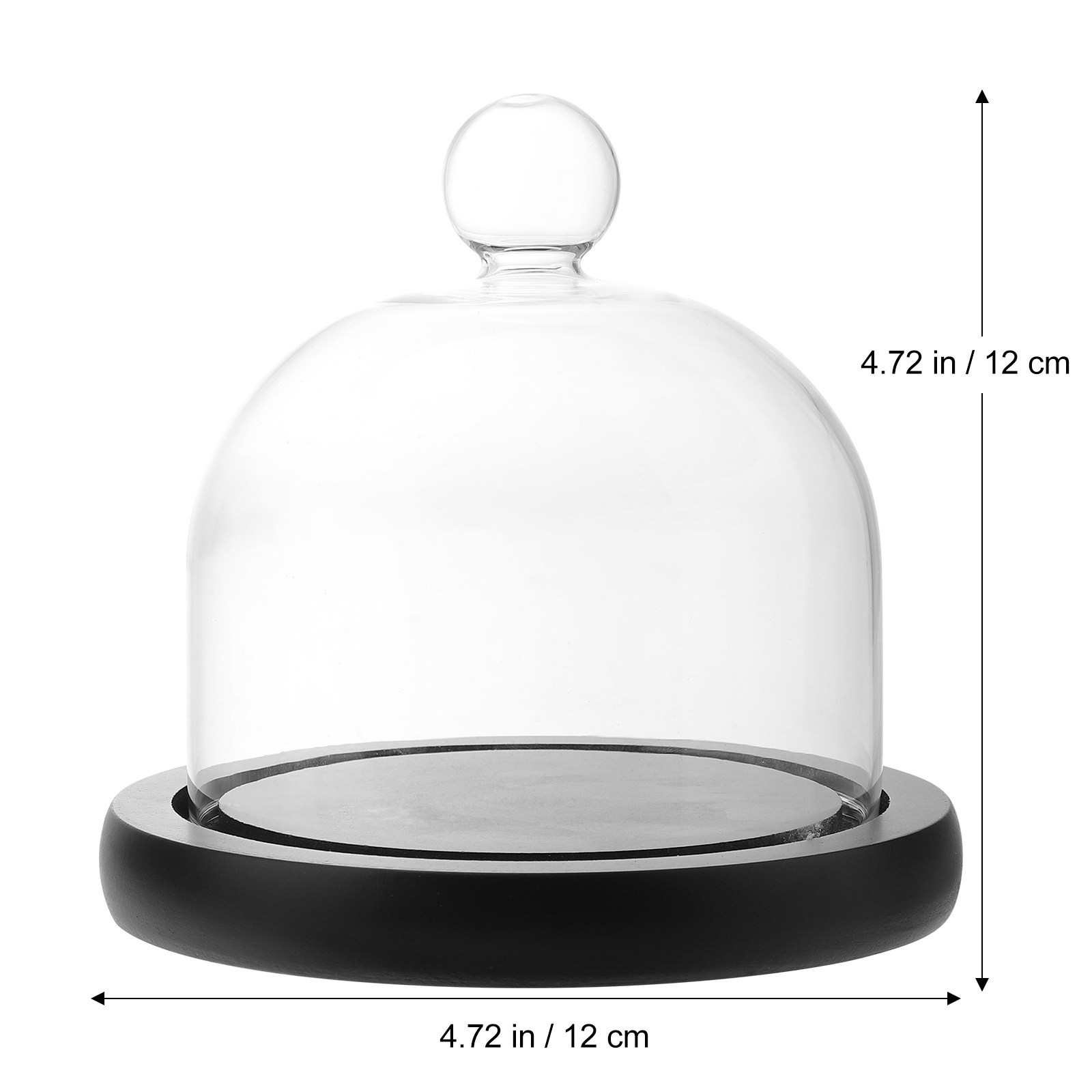 Clear Glass Display Dome for P - Plastic Dome Clear 评论和价格
