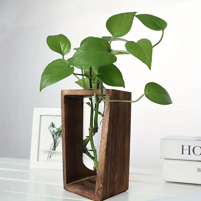 Modern Wood Propagation Vase - - Propagation Station Vase 评论和价格