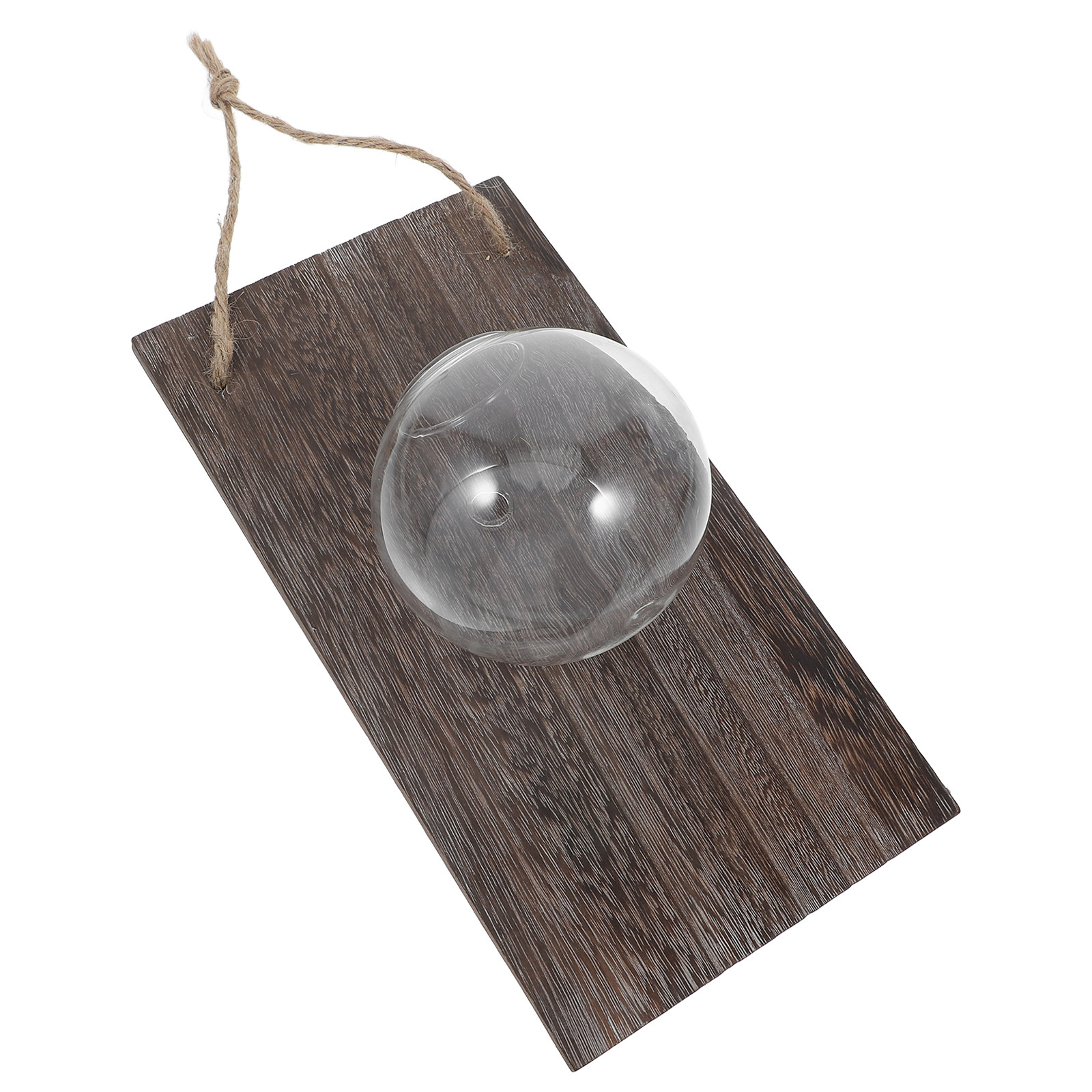 Wall Mounted Glass Vase Hangin - Propagation Station Vase 评论和价格