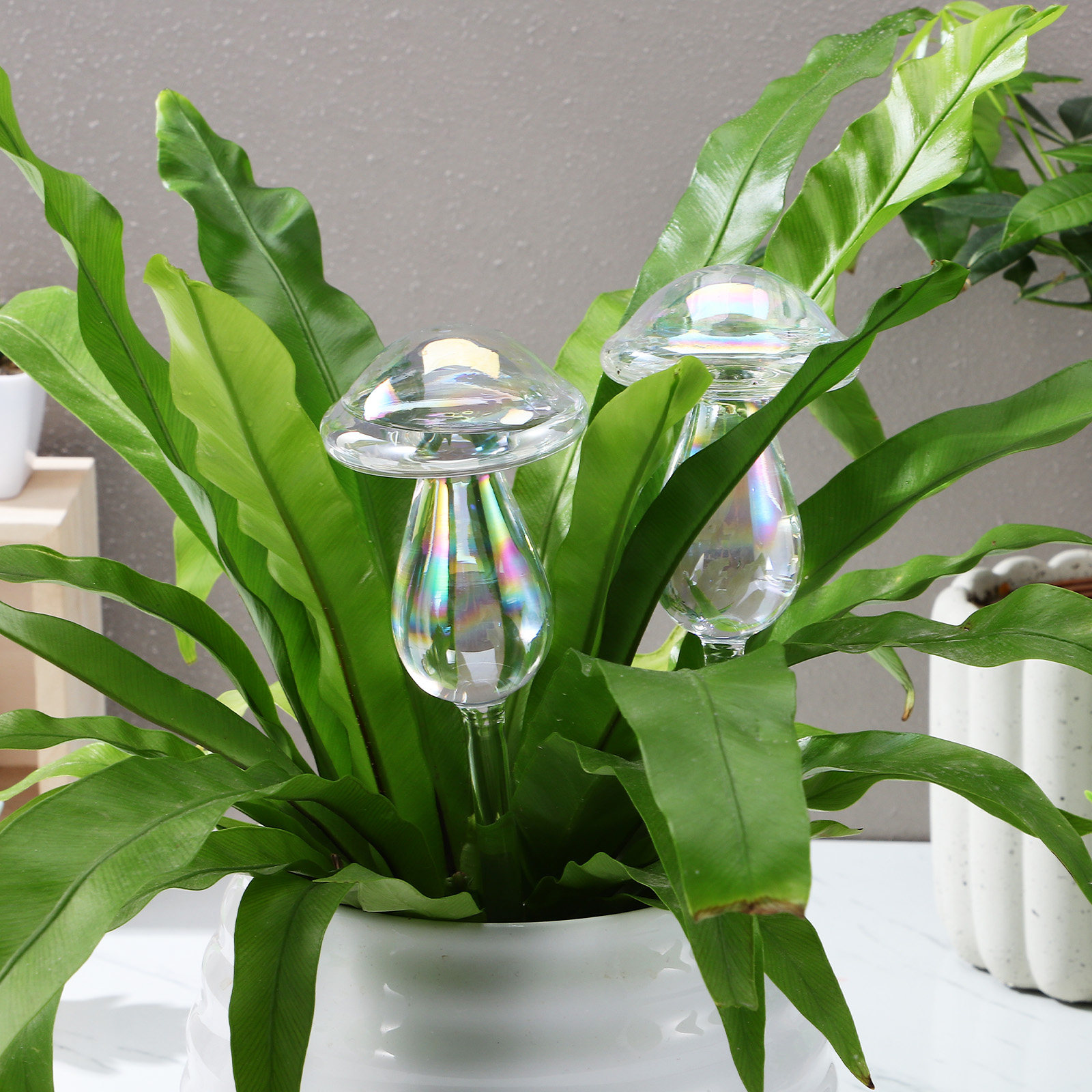 4 Pcs Pot Watering Device Plan - Self Watering Insert 评论和价格