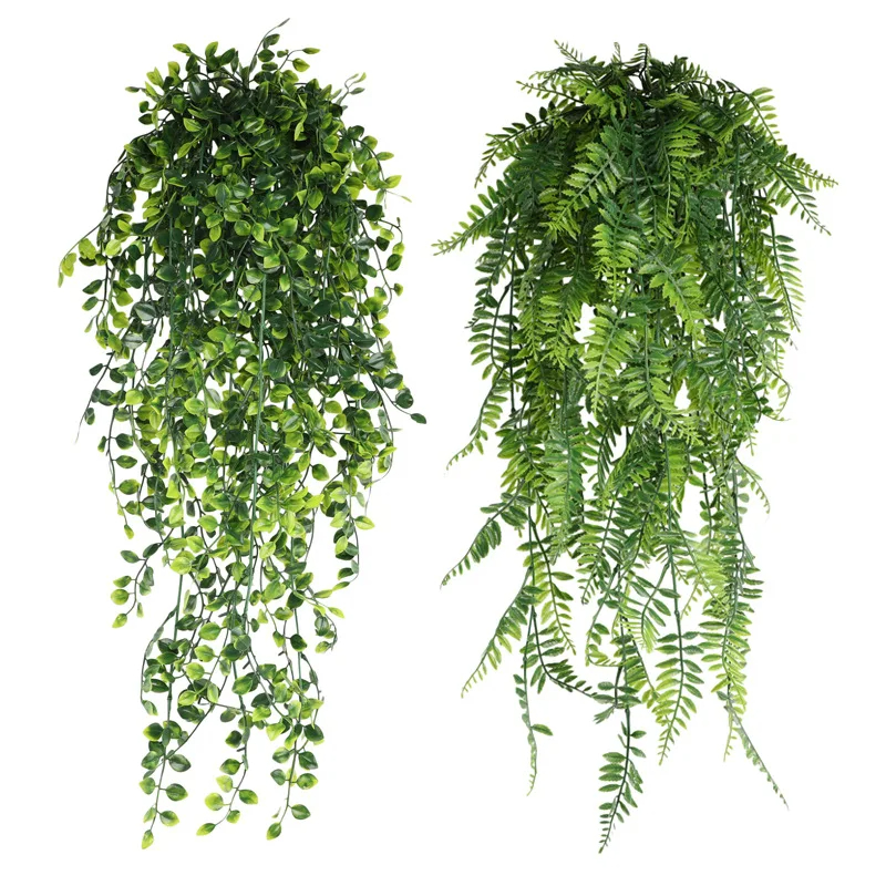 Persian fern Leaves Vines Home - Sphagnum Moss Dry 评论和价格
