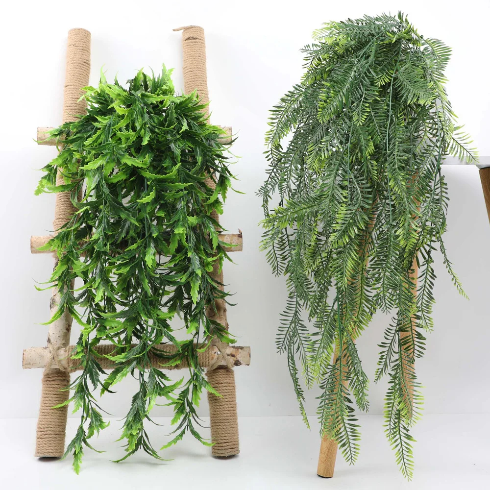 Persian fern Leaves Vines Home - Sphagnum Moss Dry 评论和价格