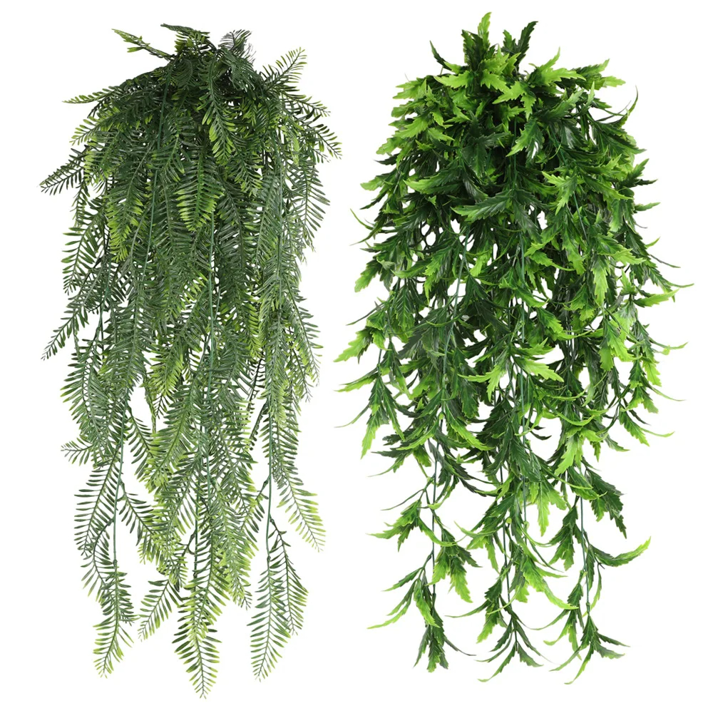 Persian fern Leaves Vines Home - Sphagnum Moss Dry 评论和价格