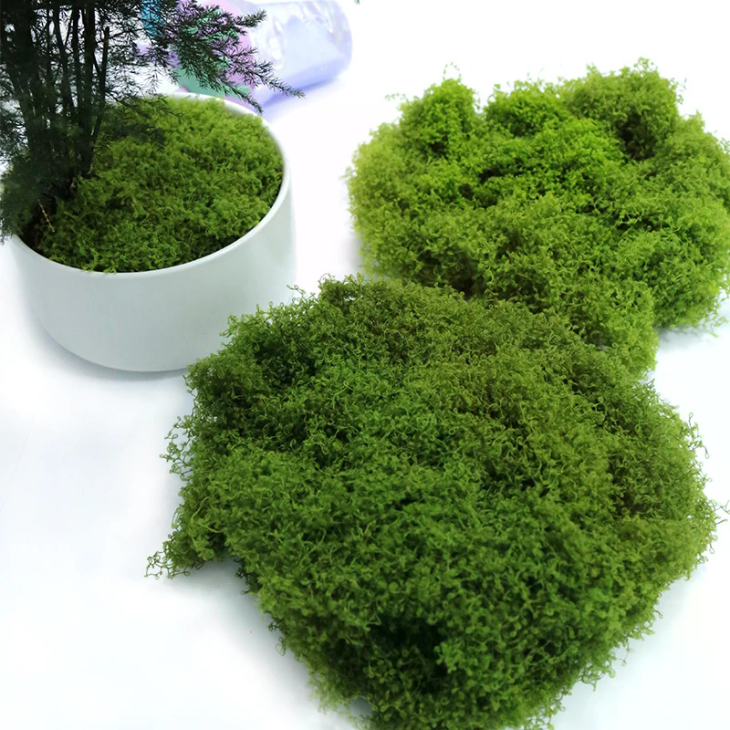 50g Fake Moss DIY Crafts Grass - Sphagnum Moss Dry 评论和价格