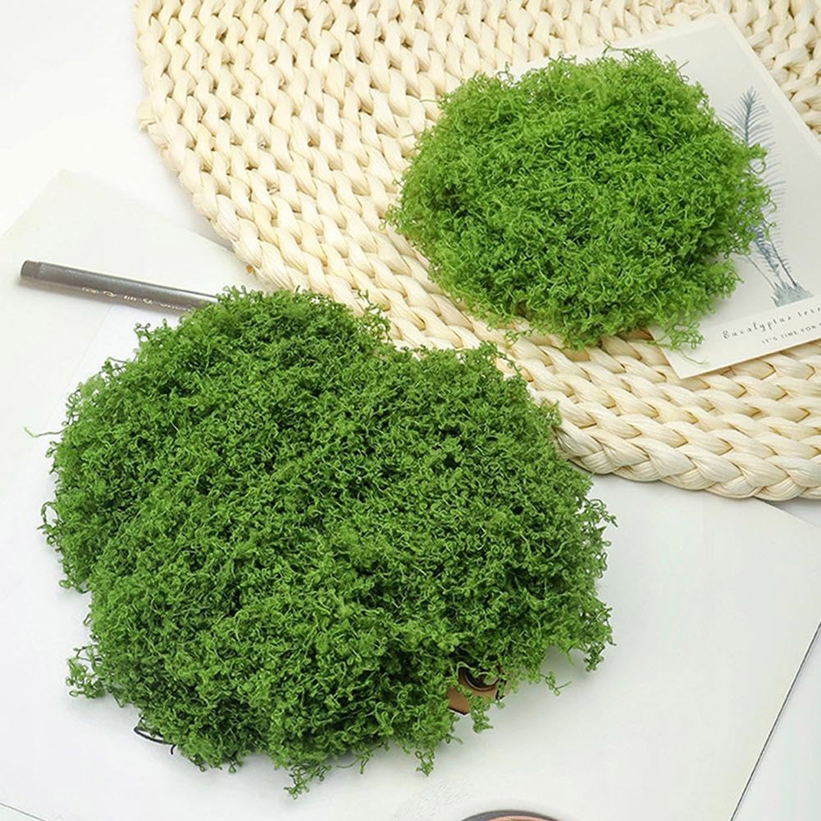 50/200g Artificial Moss For De - Sphagnum Moss Dry 评论和价格