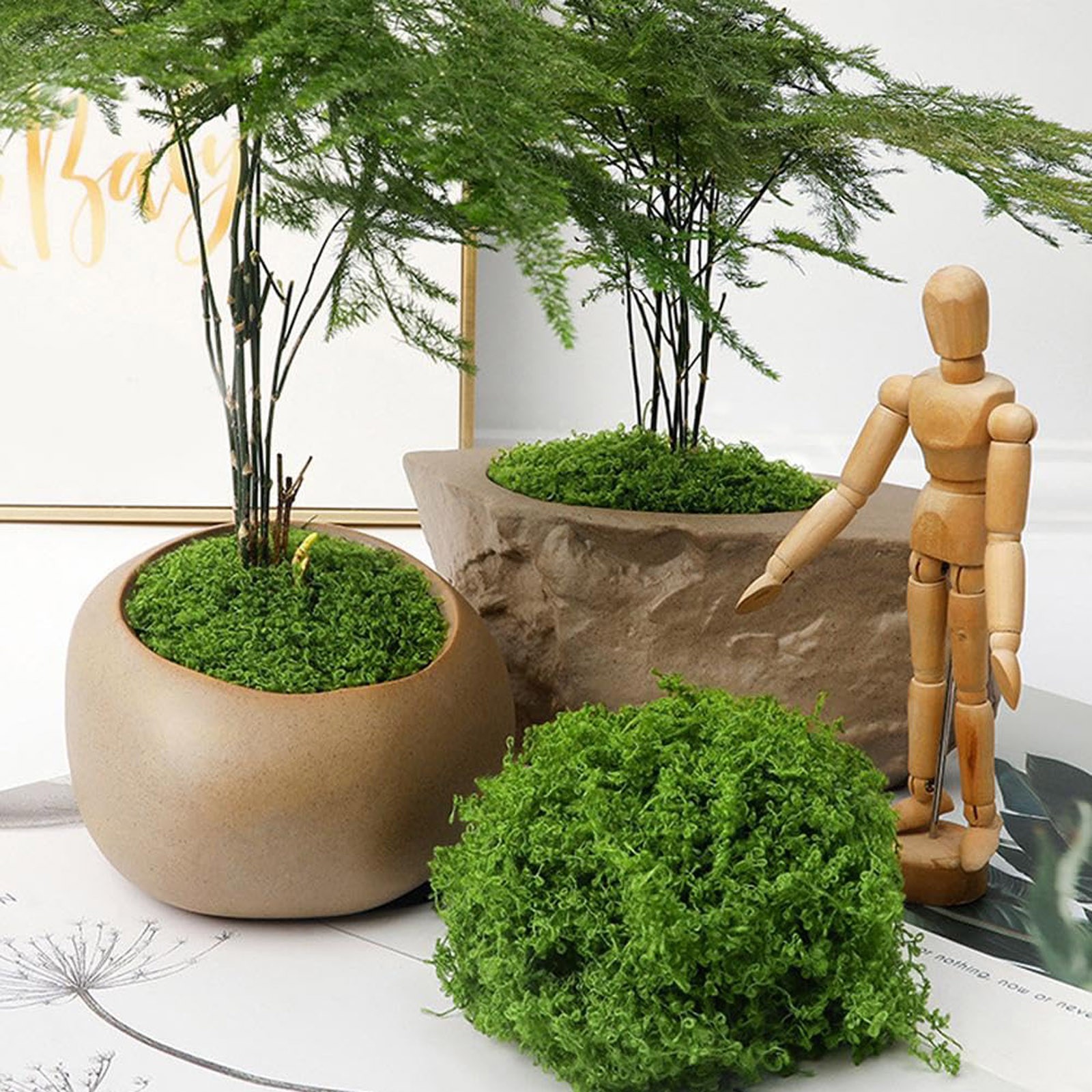 50/200g Artificial Moss For De - Sphagnum Moss Dry 评论和价格