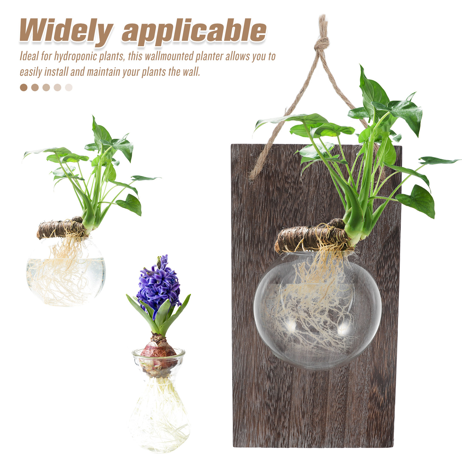 Wall Mounted Glass Planter Han - Propagation Station Vase 评论和价格