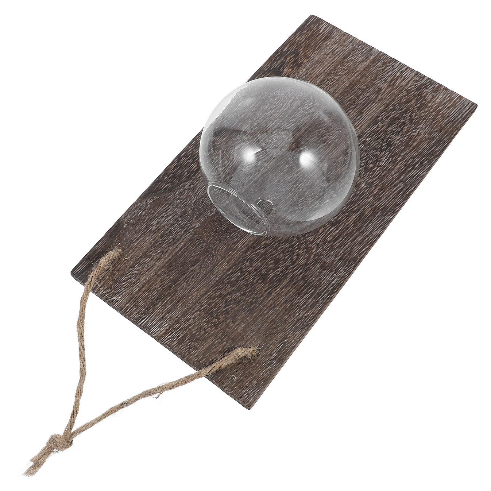 Wall Mounted Glass Planter Han - Propagation Station Vase 评论和价格