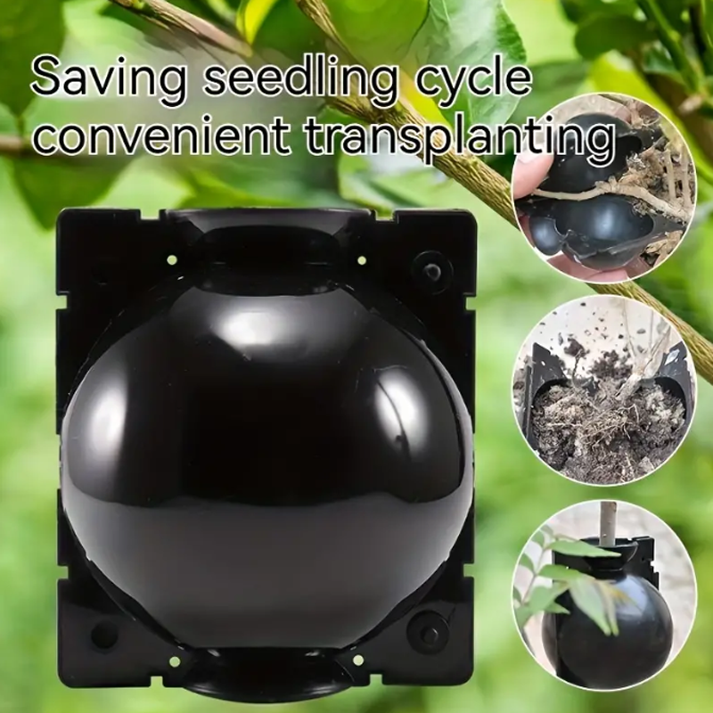 Garden Orchard Plants Grafting - Rooting Gel Clone 评论和价格