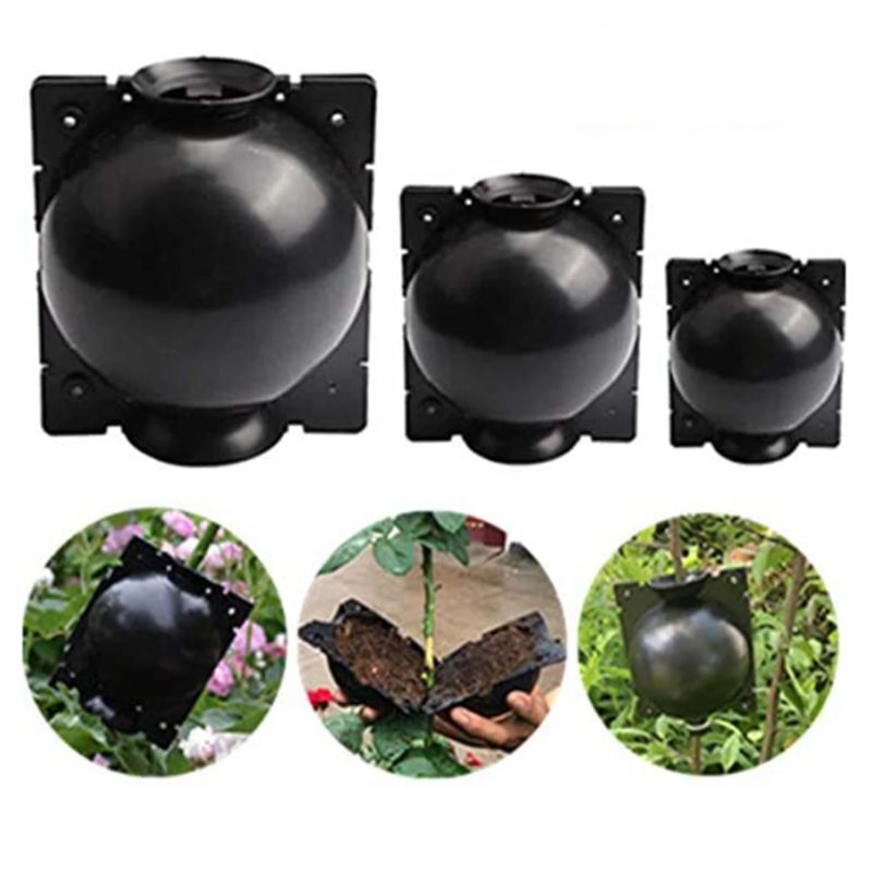 Garden Orchard Plants Grafting - Rooting Gel Clone 评论和价格