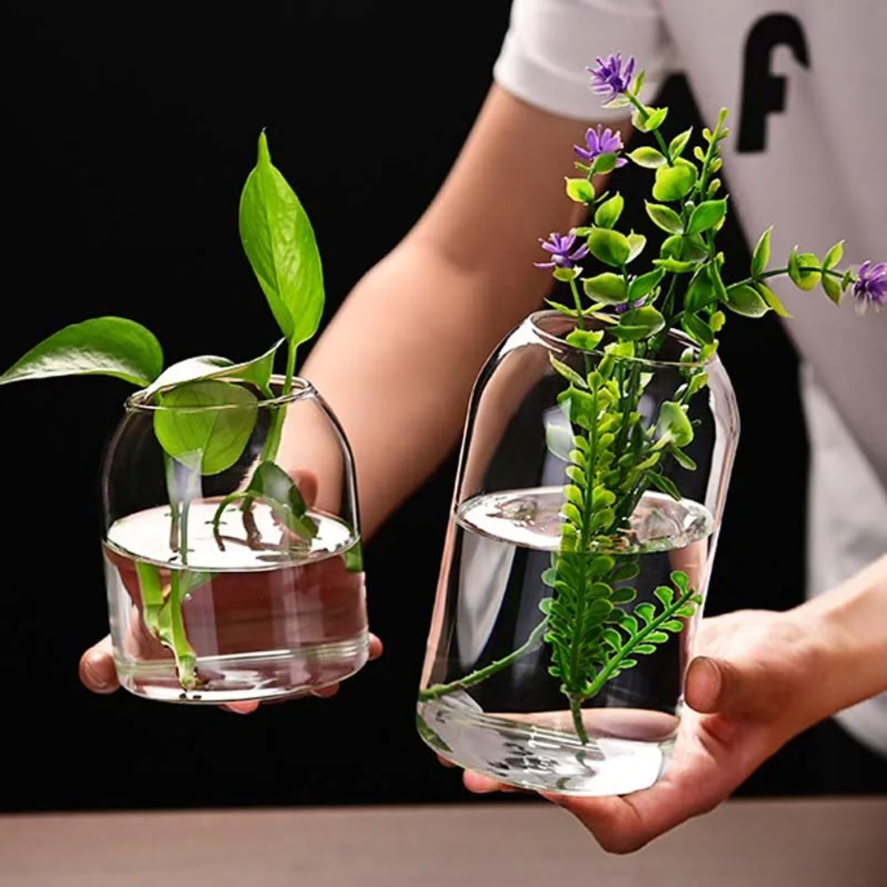 Creative Hydroponic Plant Glas - Propagation Station Vase 评论和价格