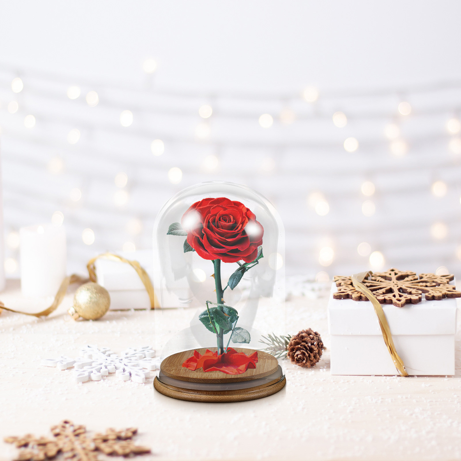 Glass Cloche Display Dome Bell - Plastic Dome Clear 评论和价格