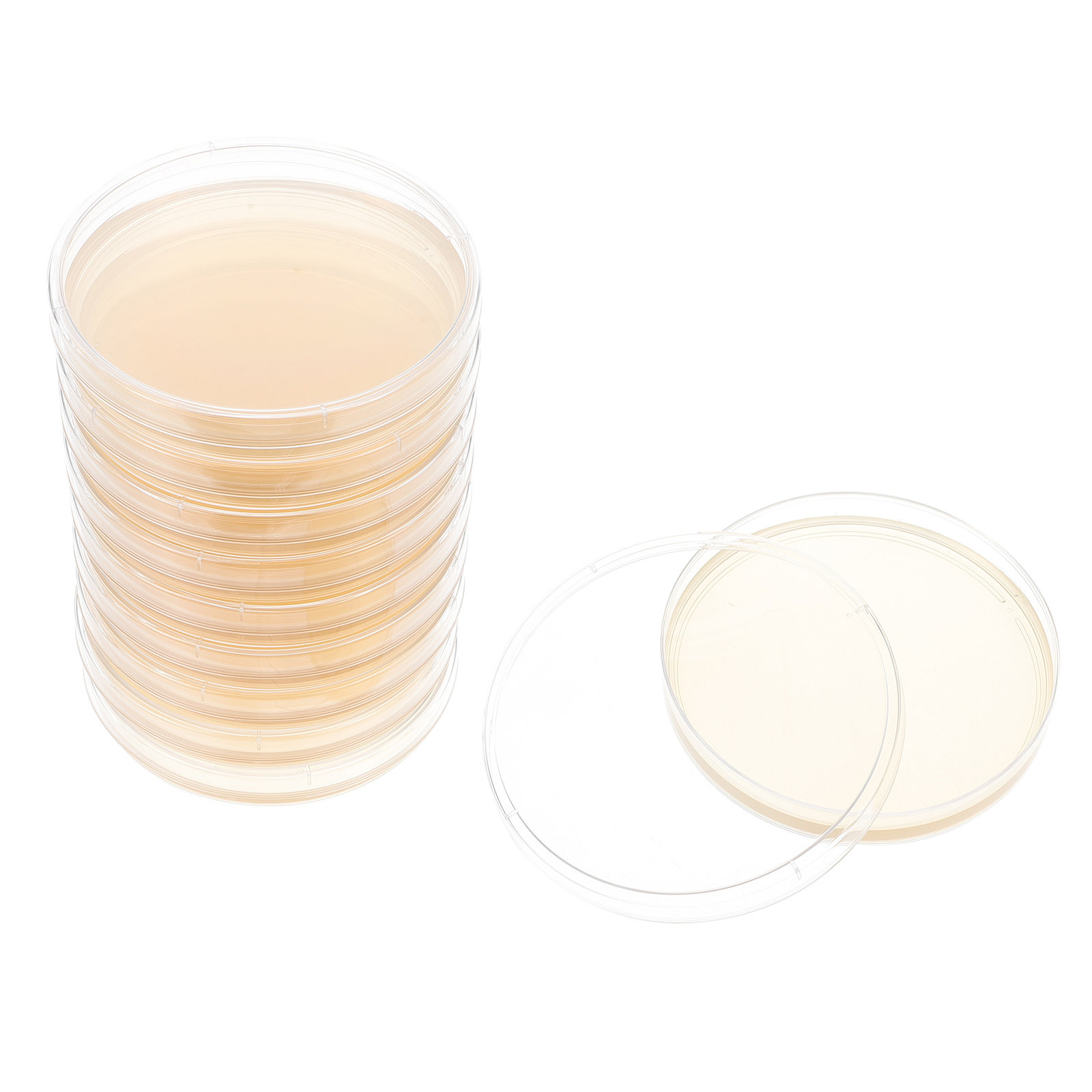 10pcs Nutrient Agar Plates Pre - Agar Tissue Culture 评论和价格