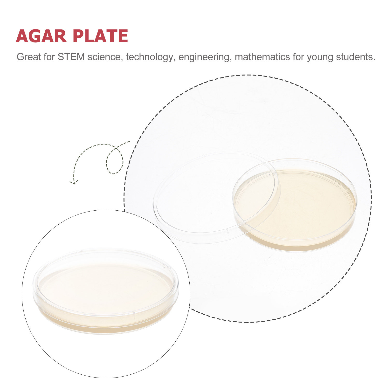 10pcs Nutrient Agar Plates Pre - Agar Tissue Culture 评论和价格