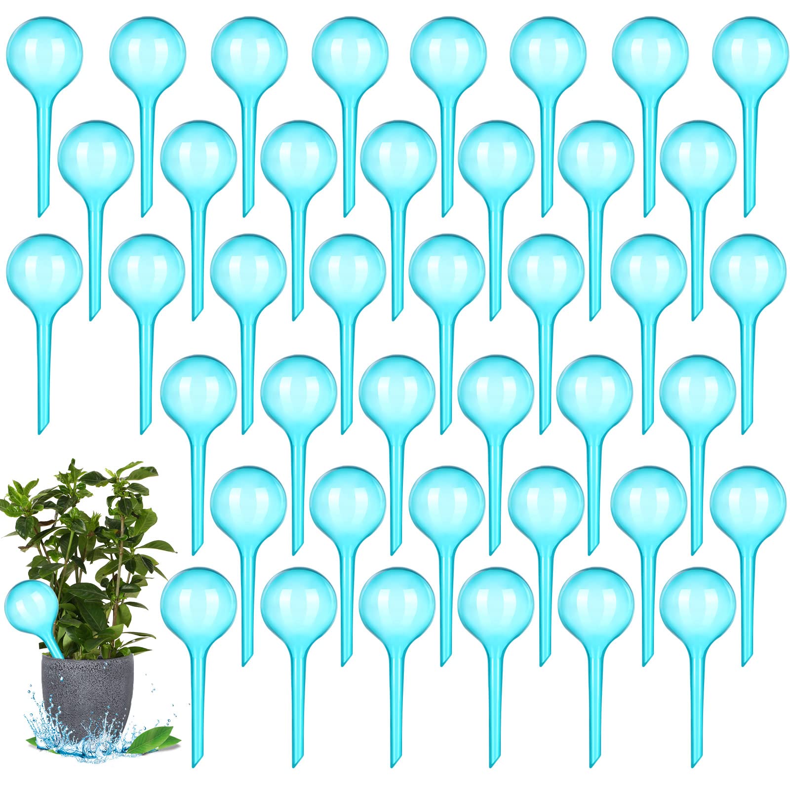 Plant Water Feeder Automatic P - Self Watering Insert 评论和价格
