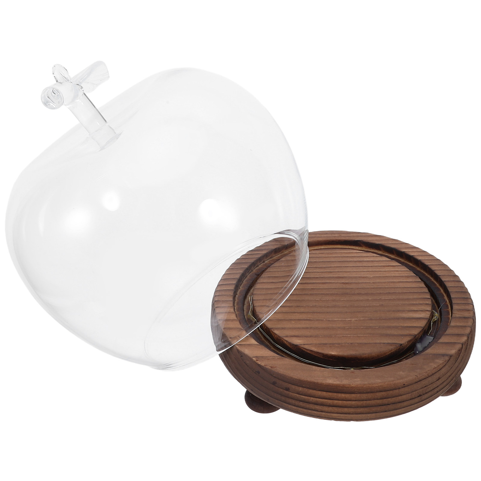 Clear Glass Dome Display with  - Plastic Dome Clear 评论和价格