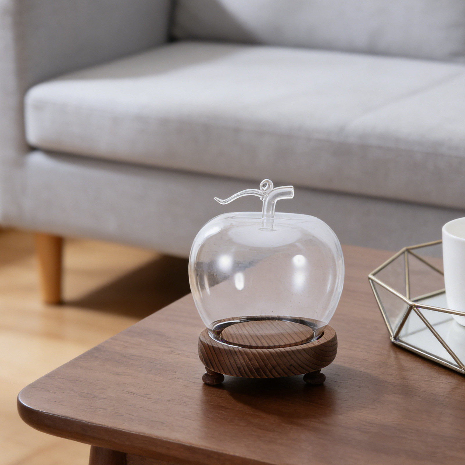 Clear Glass Dome Display with  - Plastic Dome Clear 评论和价格