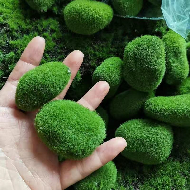 Artificial Green Moss Stones f - Sphagnum Moss Dry 评论和价格