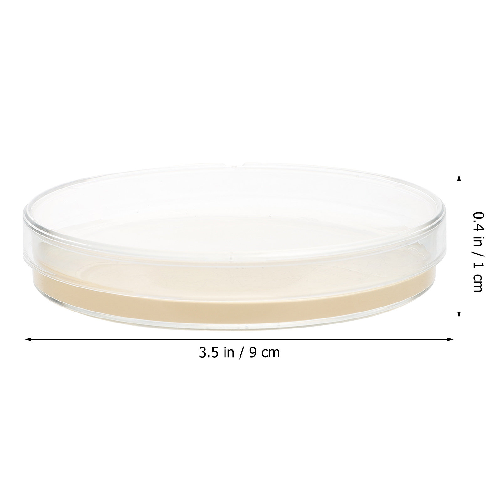 10pcs Nutrient Agar Plates Pre - Agar Tissue Culture 评论和价格