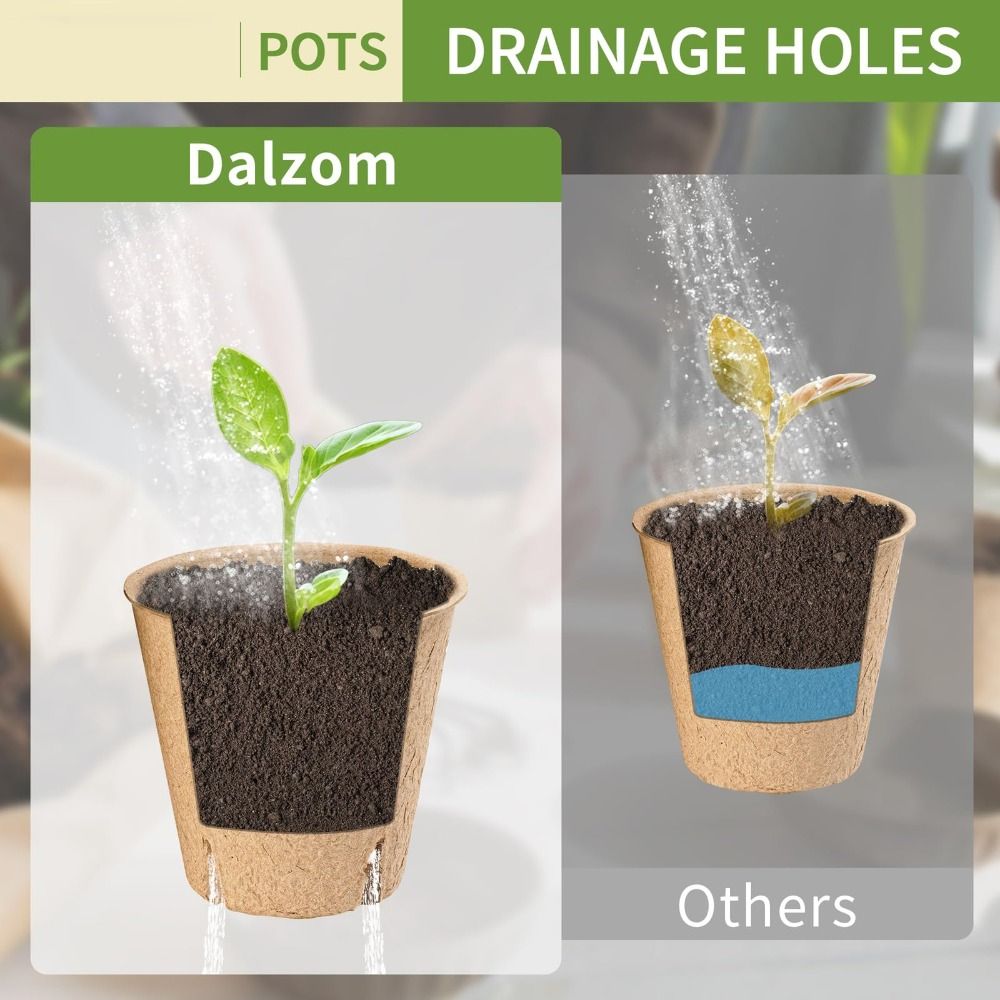 50PCS Biodegradable Plant Star - Peat Pellet Tray 评论和价格