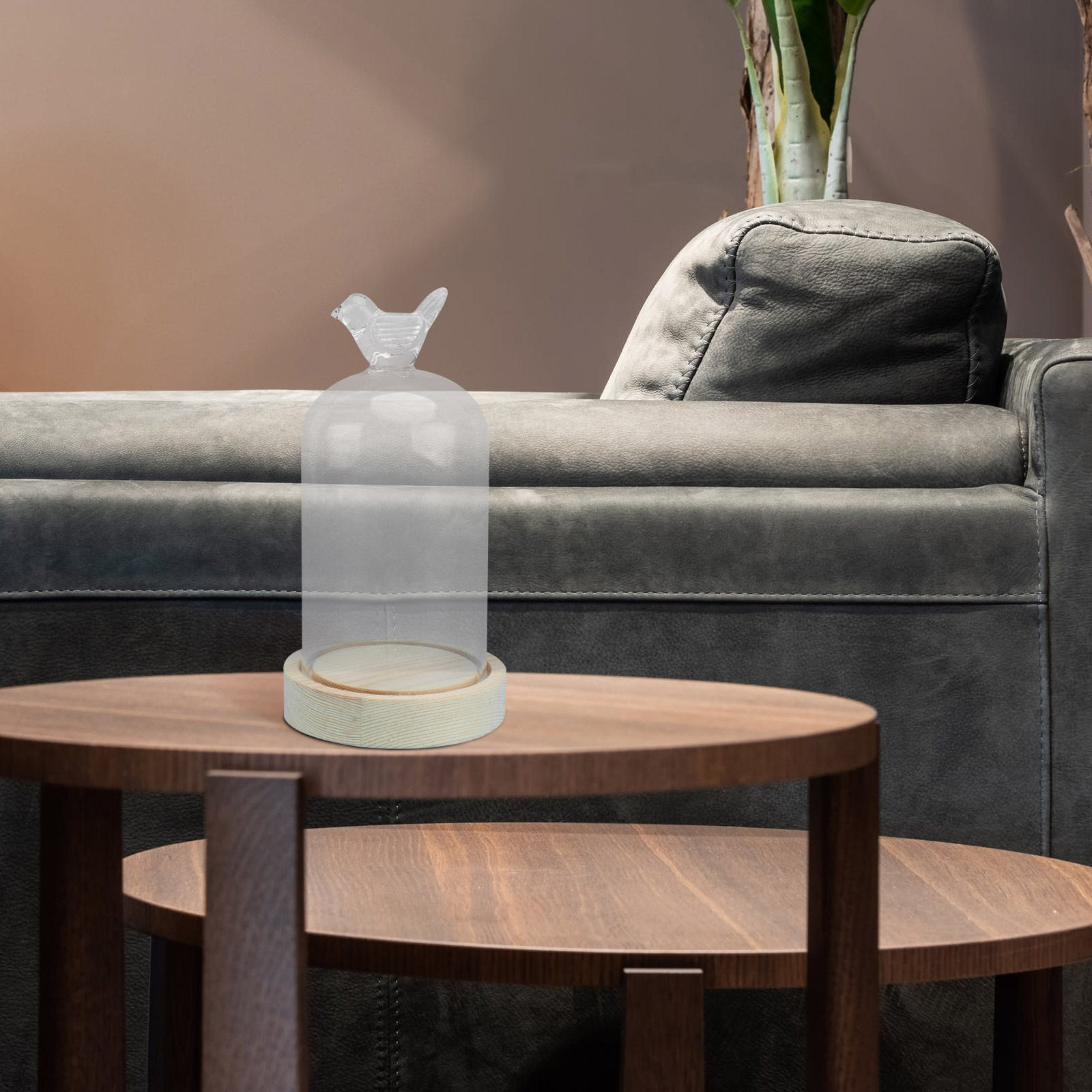 1Pcs Glass Display Cover Clear - Plastic Dome Clear 评论和价格
