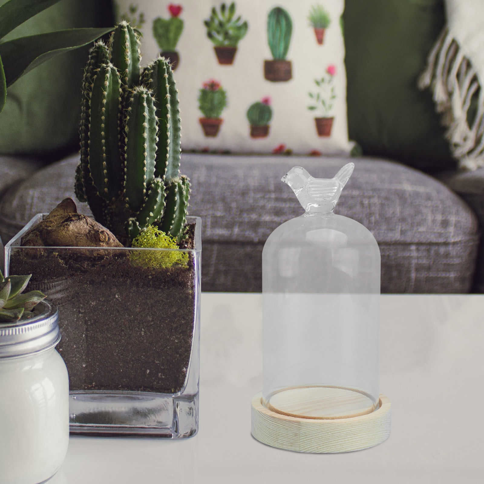 1Pcs Glass Display Cover Clear - Plastic Dome Clear 评论和价格