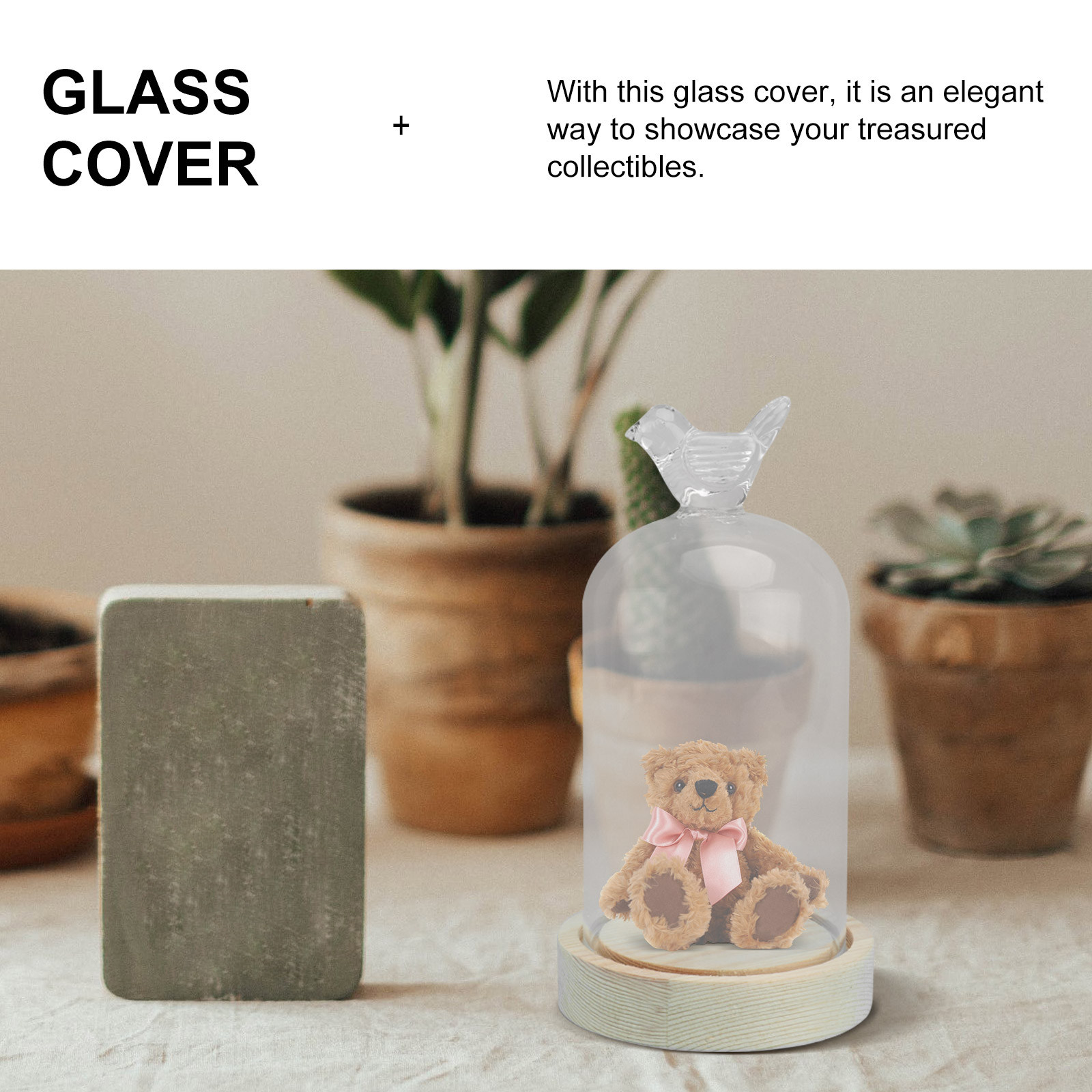 1Pcs Glass Display Cover Clear - Plastic Dome Clear 评论和价格