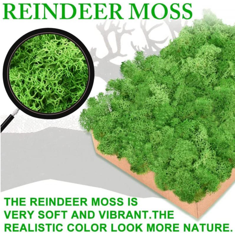 New 50/30/10g Artificial Green - Sphagnum Moss Dry 评论和价格