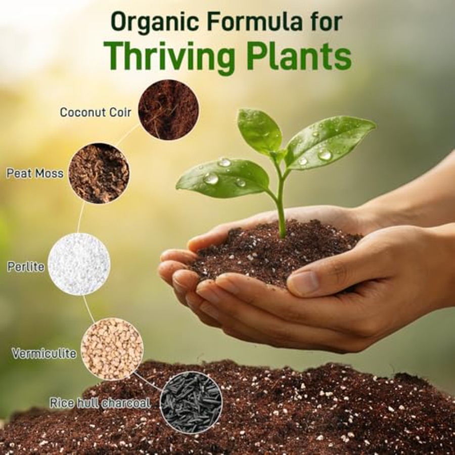 2 Mix for Indoor Plants - Cont - Coco Perlite Mix 评论和价格