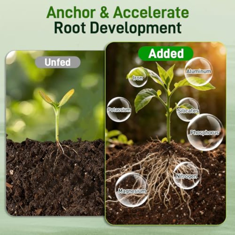 2 Mix for Indoor Plants - Cont - Coco Perlite Mix 评论和价格