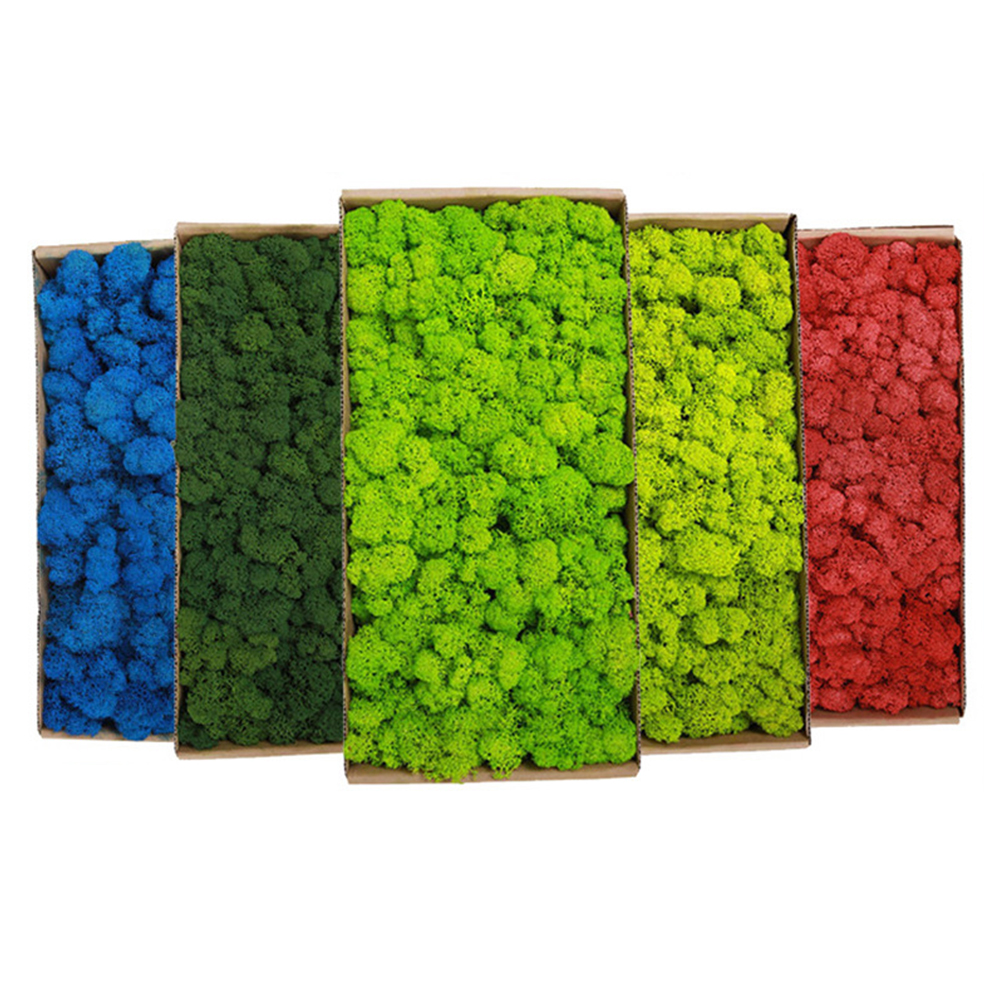 200g Artificial Green Plants M - Sphagnum Moss Dry 评论和价格