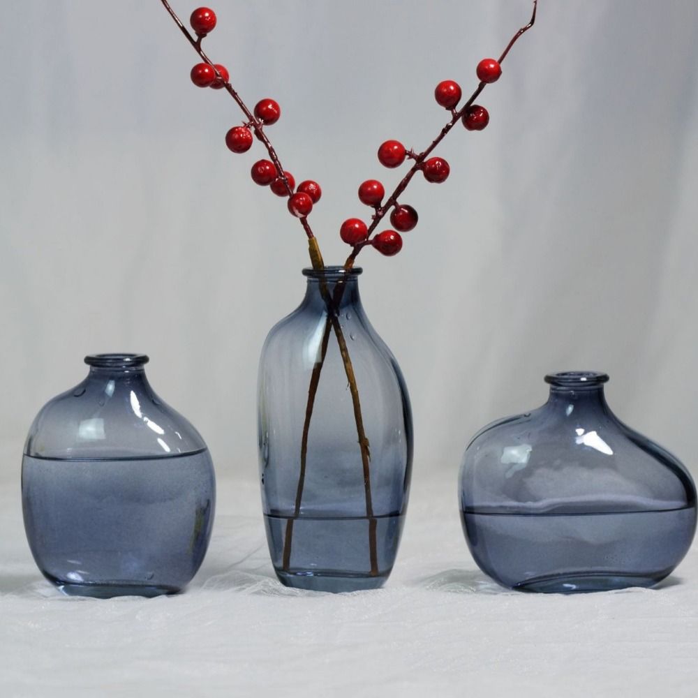 Fashion Retro Flower Vase Glas - Propagation Station Vase 评论和价格