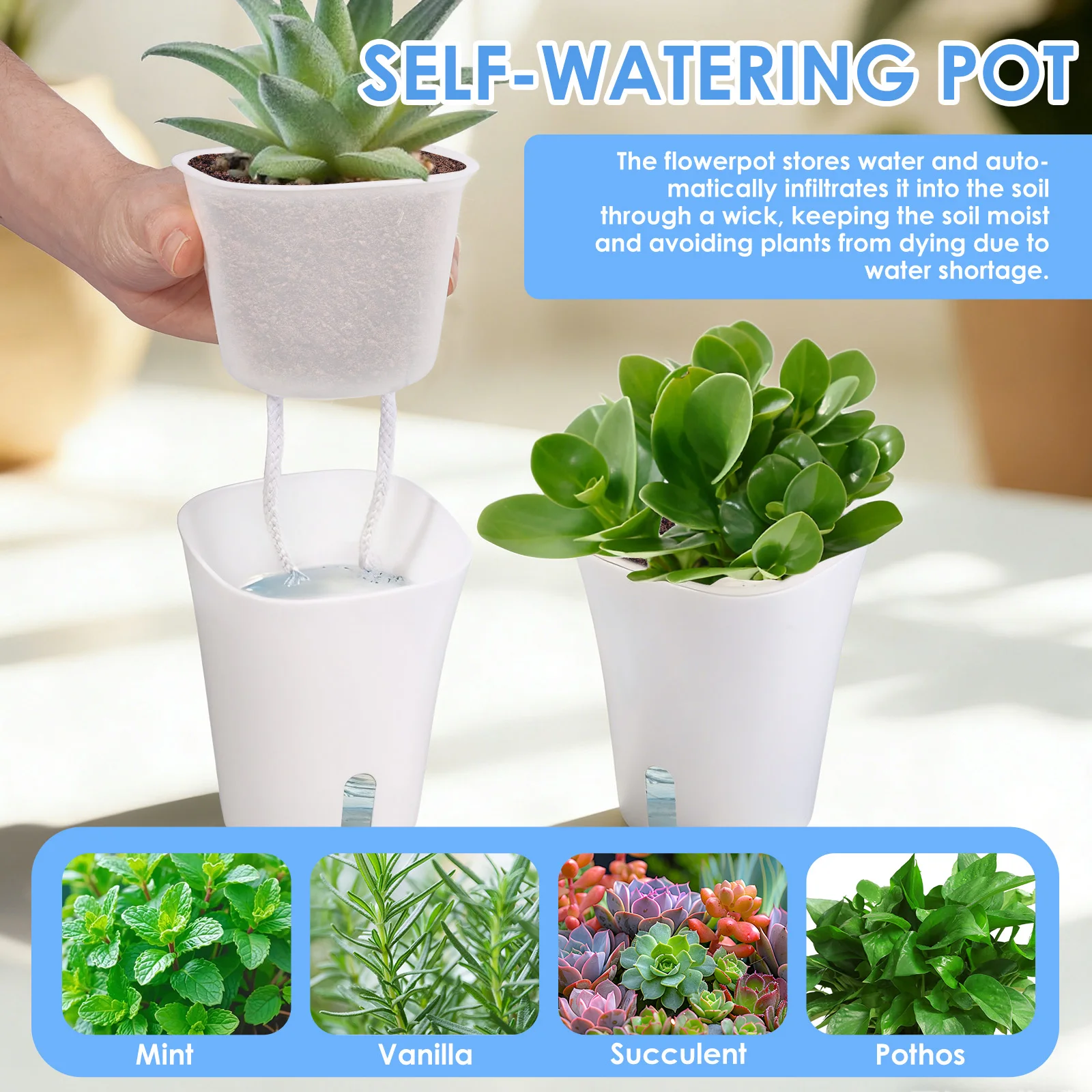 10 Pcs Self Watering Planter L - Self Watering Insert 评论和价格