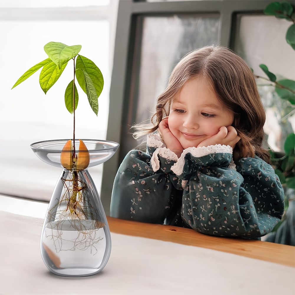 Avocado Seed Starter Vase Tran - Propagation Station Vase 评论和价格