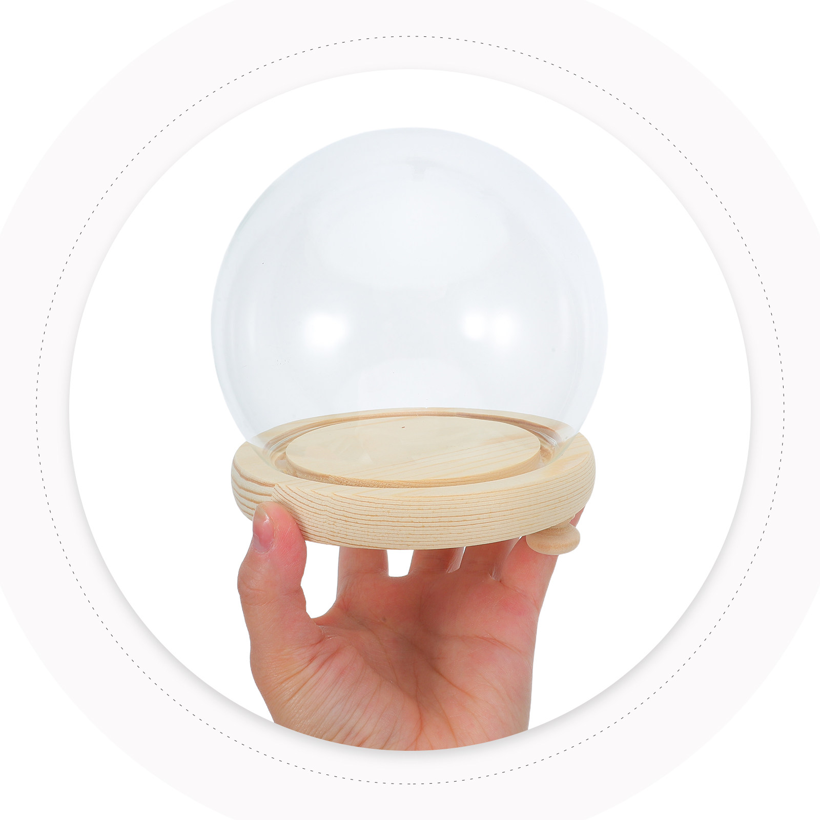 Dried Flower Glass Dome Displa - Plastic Dome Clear 评论和价格