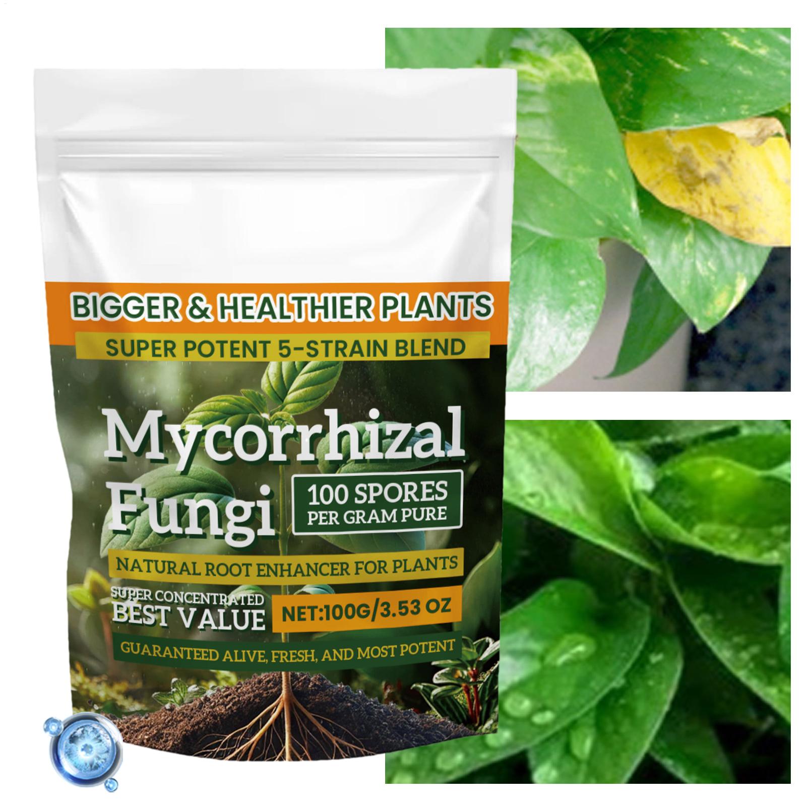 Plant Growth Enhancer Powder 1 - Rooting Hormone Powder 评论和价格