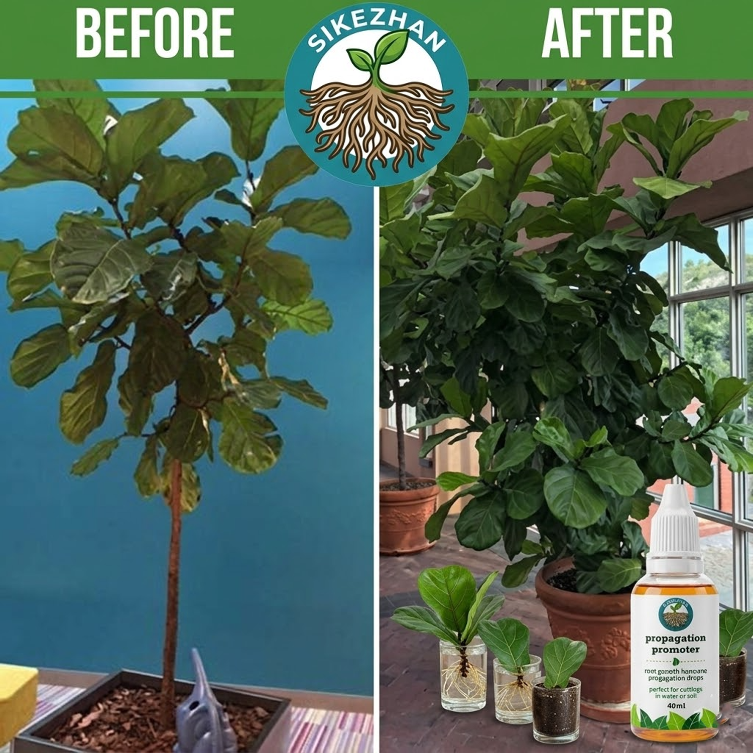 40ml Fast Plant Rooting Liquid - Root Stimulator Liquid 评论和价格